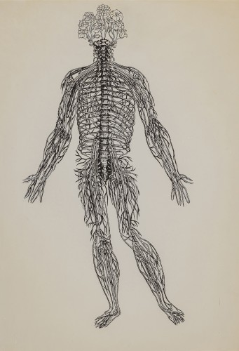 Anatomical Garden (preparatory drawing)