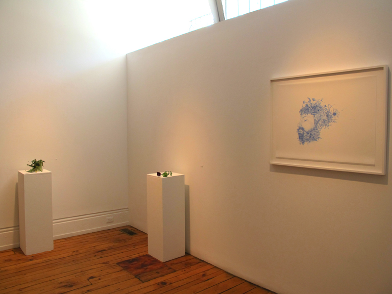 Ditches, Dandies and Lions (installation view)