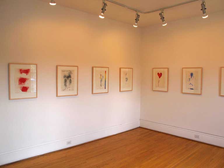 The Picture of Dorian Gray (installation view)