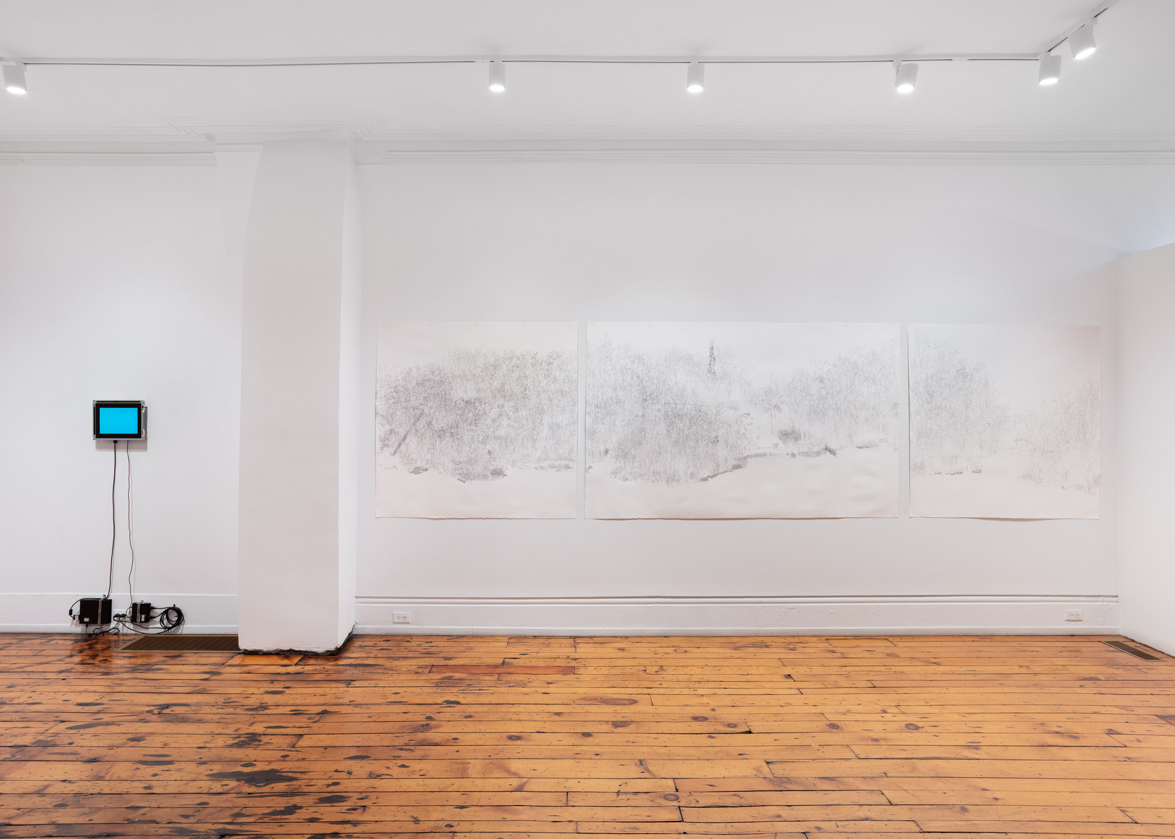 installation view