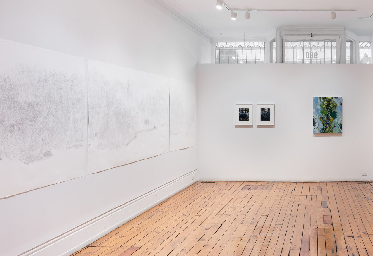 installation view